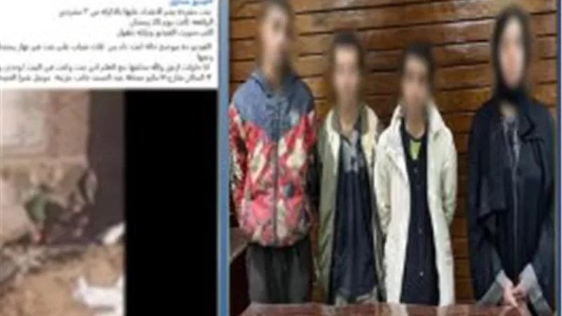 الداخلية تكشف تفاصيل واقعة فيديو التعدي على فتاة غرب شبرا الخيمة 