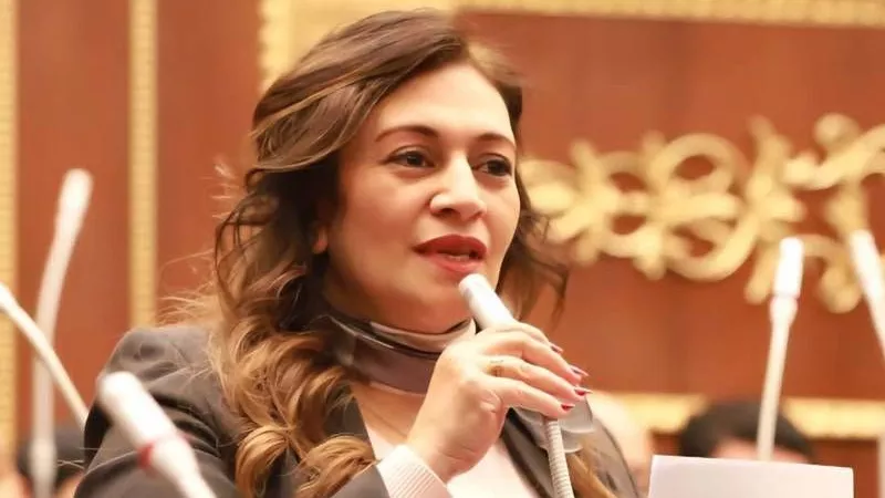 تحرك برلماني لتمكين القوة الناعمة ومواكبة التحولات المجتمعية