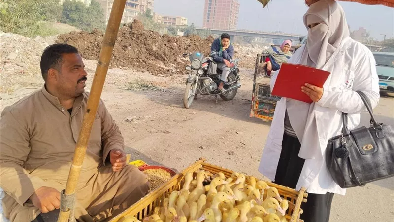 الزراعة: فحص أكثر من 555 ألف طائر و180 ألف رأس ماشية خلال فبراير 