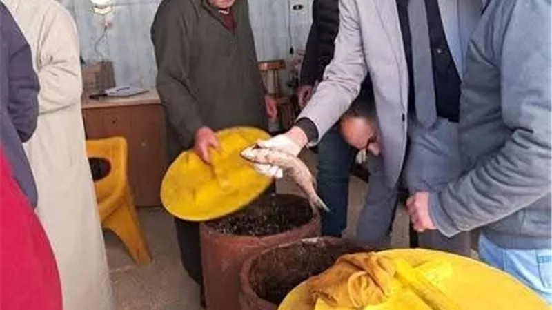 ضبط 252 كجم أسماك ولحوم غير صالحة للاستهلاك الآدمي بكفرالشيخ