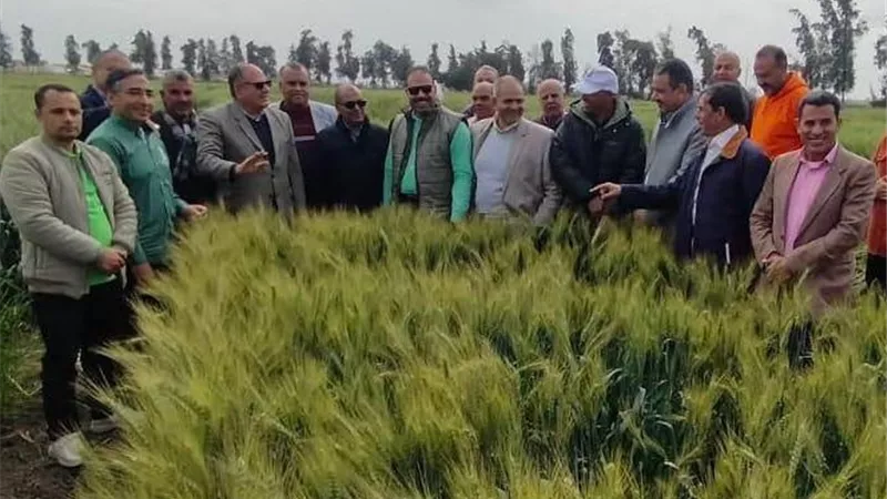 مديريات الزراعة تكثف جهود المتابعة الميدانية لتعزيز الحوكمة ودعم المزارعين