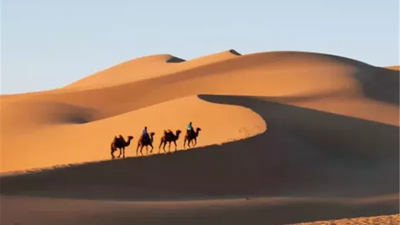 انطلاق الجلسة العلمية لمؤتمر «الرواية الليبية.. مسارات التأصيل»