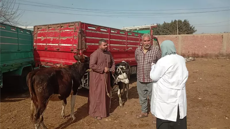 الزراعة: فحص نصف مليون طائر وأكثر من 300 ألف رأس ماشية خلال فبراير 2026