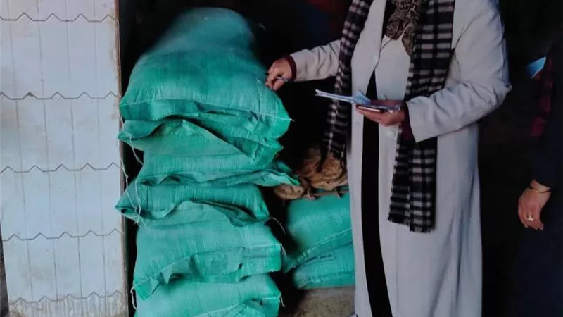 لحماية رغيف العيش.. تحرير 47 مخالفة في حملة تموينية مكبرة بالقليوبية