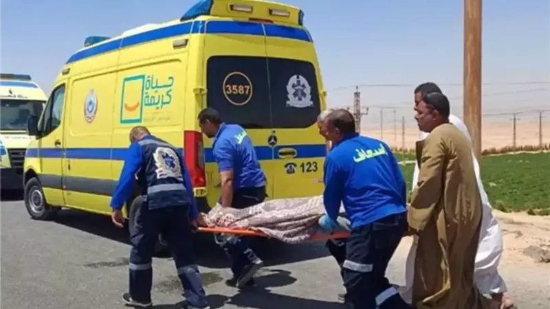 مصرع وإصابة 26 شخصًا في تصادم أتوبيس ونقل ثقيل بطريق القصير 