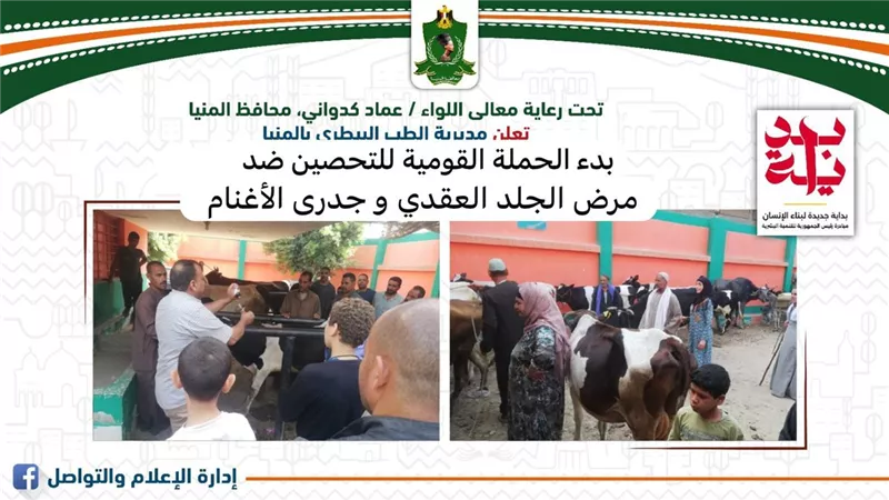 لحماية الثروة الحيوانية.. المنيا تطلق حملة كبرى للتحصين ضد الجلد العقدي