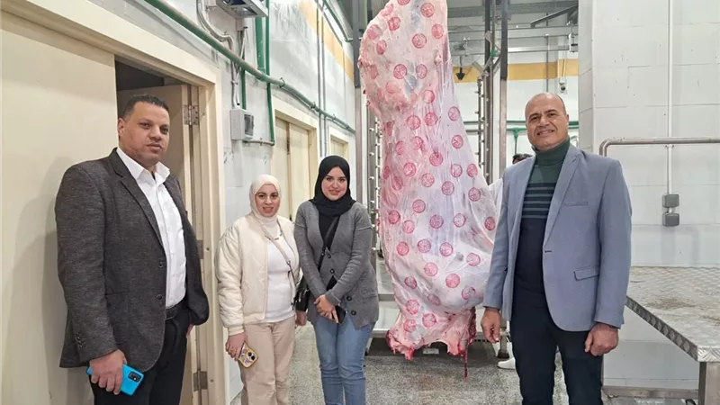 ارتفاع في أسعار اللحوم اليوم السبت بمحافظة كفر الشيخ 