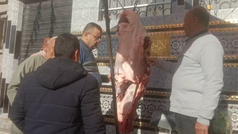 ضبط دواجن فاسدة وذبح خارج المجازر بديرمواس فى المنيا 