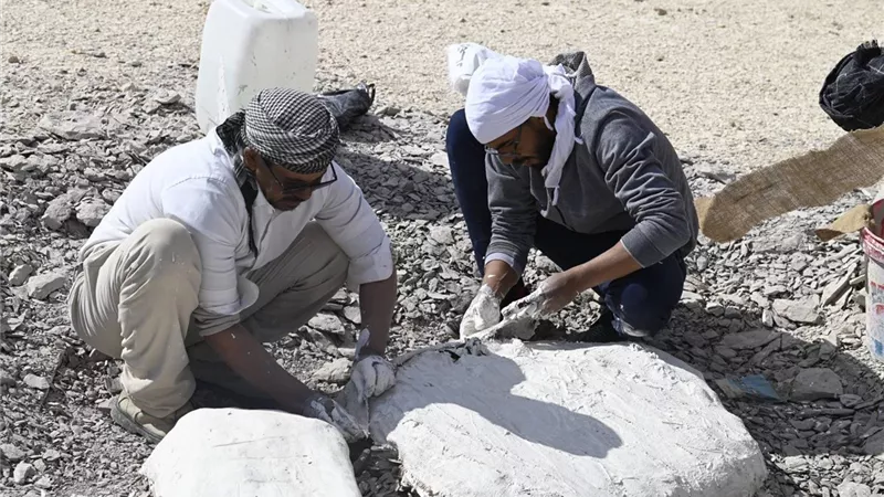 جامعة الوادي الجديد تكتشف أقدم سلحفاة بحرية عملاقة من عصر الديناصورات 