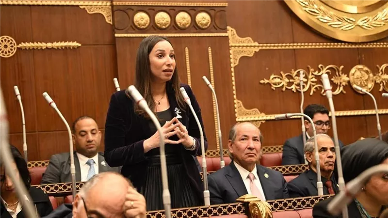 النائبة حنان وجدي: استقرار الأسواق نتيجة جهود حكومية متواصلة