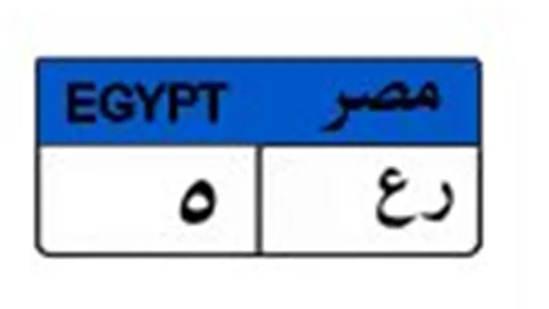 بمشاركة متنافس واحد..لوحة