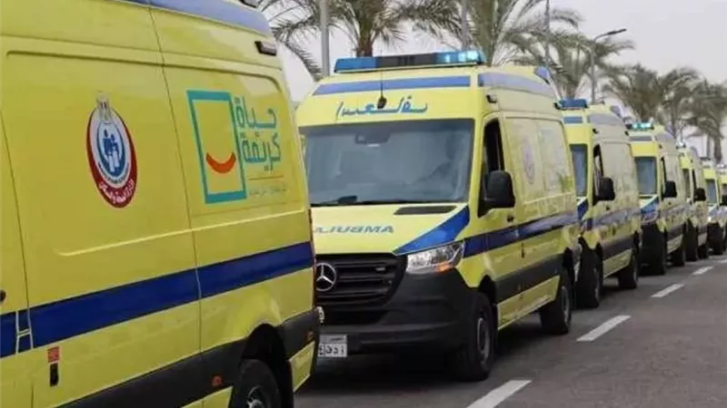 الإسكندرية: عطل فني يوقف خدمة 