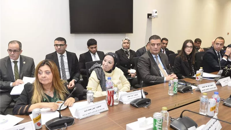 القومي للأشخاص ذوي الإعاقة: لا مساس بالحقوق وضمان وصول الدعم لمستحقيه