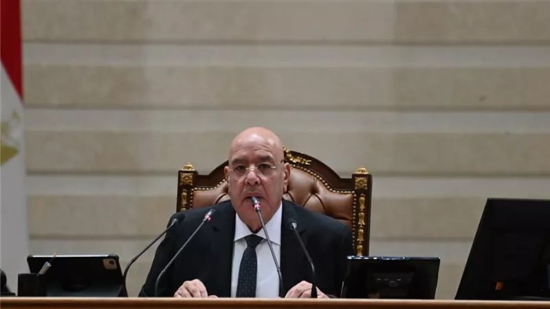 هشام بدوي يدعو لتضافر الجهود العربية لمنع انزلاق المنطقة للأزمات