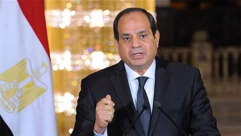 الرئيس السيسي: مصر تسعى إلى تعزيز أمن الطاقة وزيادة الاستثمارات|فيديو