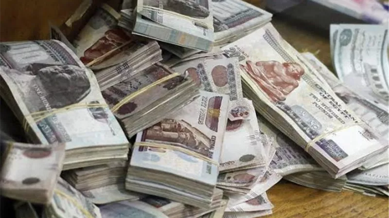 «أموال مشبوهة».. ضبط 4 أشخاص بتهمة غسل 30 مليون جنيه من تجارة الأسلحة