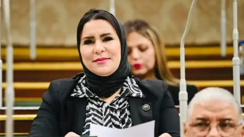 مقترح برلماني لتيسير استخراج وثائق الأحوال المدنية عبر مكاتب البريد بالقرى