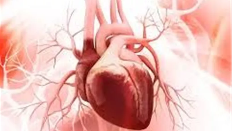 11 دقيقة يوميا قد تنقذ قلبك.. دراسة تكشف سرا مذهلا