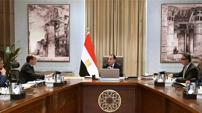 وزير الزراعة: طفرة غير مسبوقة في مساحات القمح هذا العام