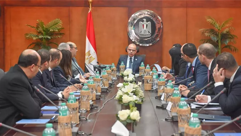   فريد: خطة لجذب مؤسسات مالية واستثمارية للمشاركة في صندوق مصر السيادي 