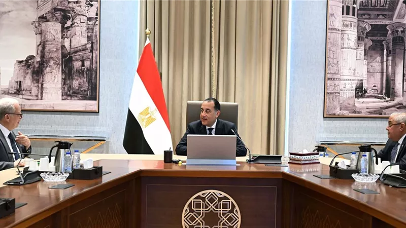 رئيس الوزراء يتابع مستجدات موقف ملف الشركات المملوكة للدولة