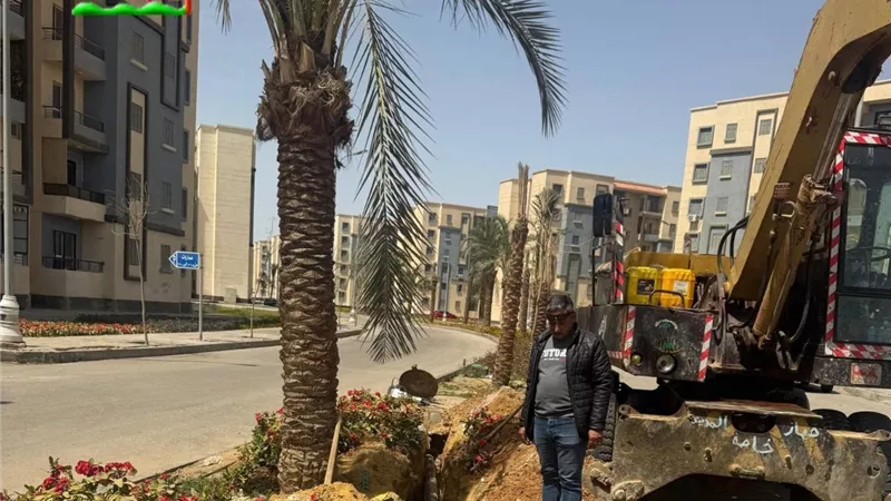 حدائق العاصمة تستعد لمواجهة الأمطار وتقلبات الطقس بخطة طوارئ شاملة