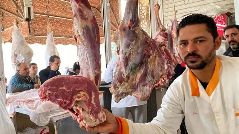 خاص|نقيب الفلاحين يكشف مفاجأة عن أسعار الأضاحي قبل العيد