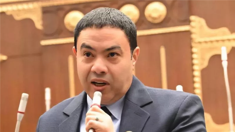 الشرقاوي: إدارة أزمة الطاقة لا يجب أن تأتي على حساب حركة الاقتصاد |خاص