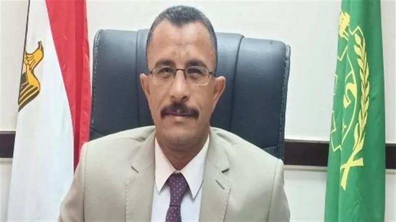 تموين المنيا يعلن جاهزية 42 موقعًا لاستلام القمح وتيسير صرف المستحقات