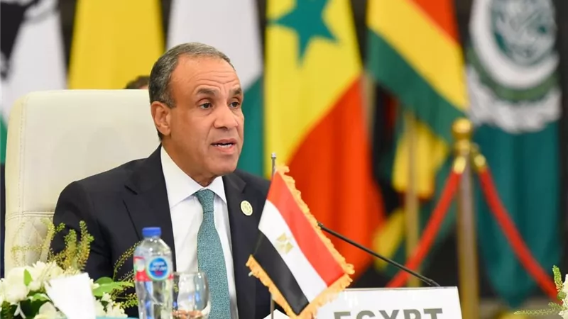 وزير الخارجية: مصر تستضيف أكثر من 10 ملايين لاجئ ومهاجر