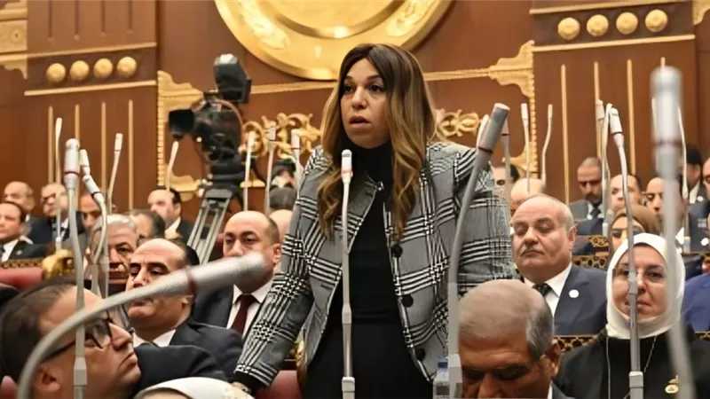 وكيل «مالية الشيوخ»: الإصلاح الاقتصادي مرتبط بتحسين جودة حياة المواطن