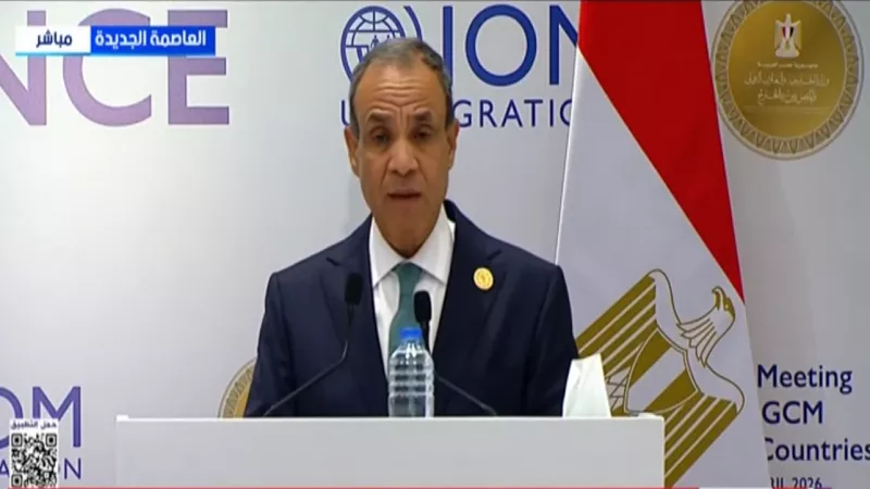 وزير الخارجية: تحركات الرئيس السيسي تقود مسار التهدئة الدولية|فيديو
