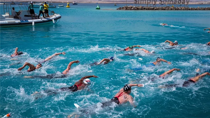 مصر تتصدر عالم الرياضة.. بطولات دولية لتعزيز السياحة الرياضية