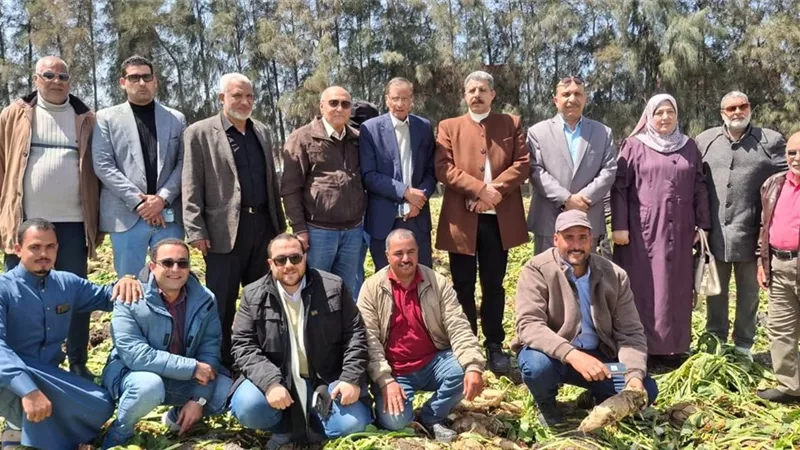 مدير زراعة الإسماعيلية لـ إيجبتكِ: زراعة بنجر السكر يعزز الإنتاج المحلي 