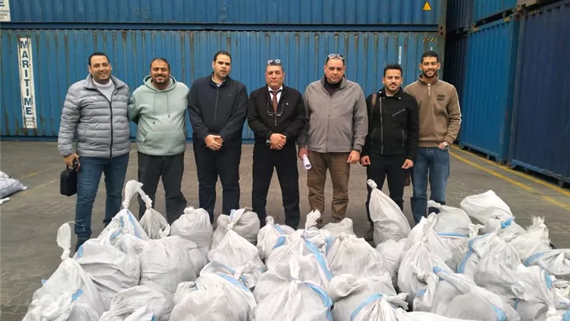 جمارك الصادر بالإسكندرية تضبط محاولة تهريب كمية من الدخان المعسل