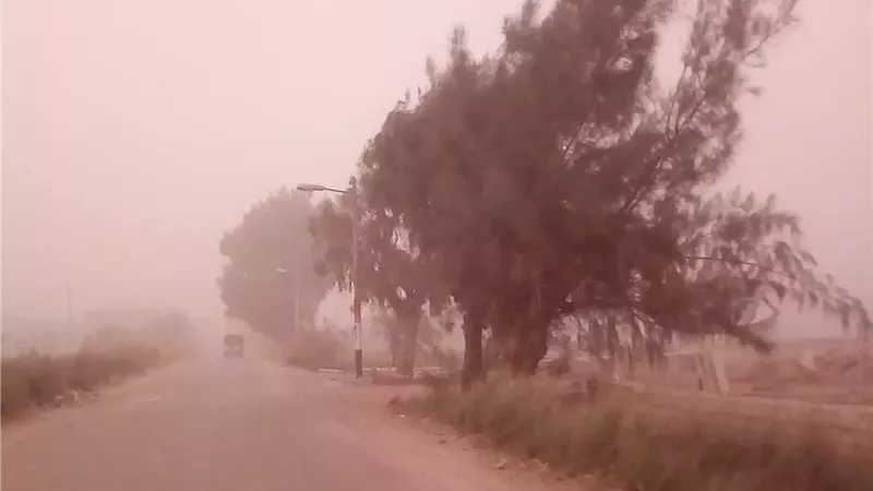 رياح مثيرة للرمال تحول السماء للون الأصفر.. طقس مغبر يسيطر على المنيا 