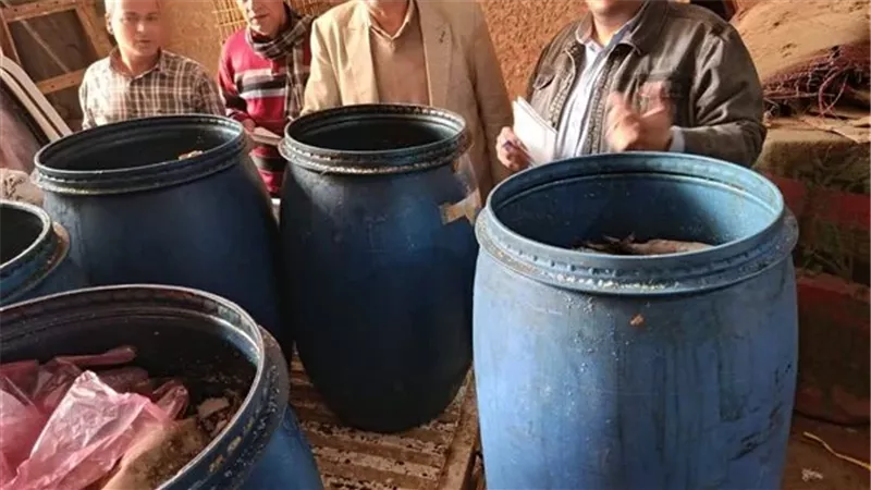 ضبط كمية من الفسيخ الفاسد في حملات رقابية على الأسواق 