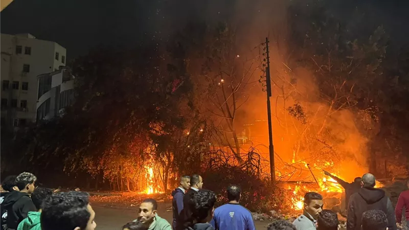 السيطرة على حريق أشجار بجوار نقابة الصيادلة في بنها دون إصابات