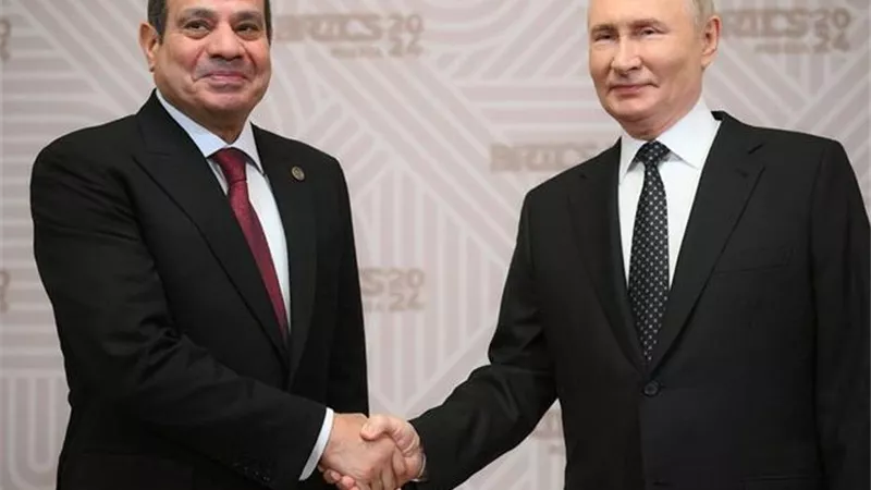 العالم يغرق في أزمة غذاء.. ومصر تؤمن احتياجاتها الاستراتيجية من روسيا