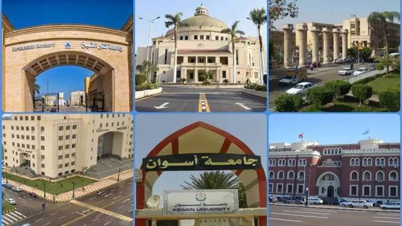 حصر أوائل الخريجين وحملة الدراسات العليا تمهيدًا لتعيينهم بالدولة