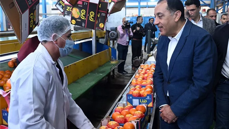 رئيس الوزراء يتفقد محطة الصواف لتعبئة الموالح والحاصلات الزراعية ببنها