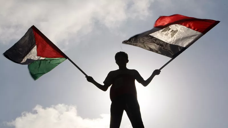 أيمن الرقب: تحركات دبلوماسية مصرية مكثفة لإحياء مسار السلام في غزة