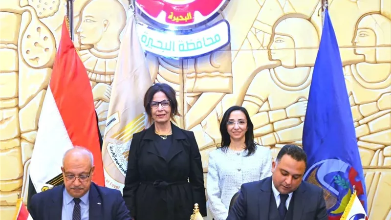 البحيرة ودار الكتب تطلقان مشروعًا لإعادة تأهيل مكتبة البلدية بدمنهور