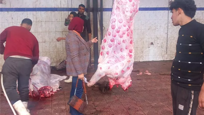 أسعار اللحوم اليوم السبت في كفر الشيخ.. الكيلو يتراوح بين 440 و500 جنيه