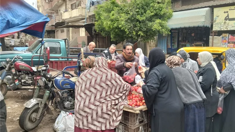 الـطماطم بـ 15 جنيهاً.. استقرار أسعار الخضروات والفاكهة بكفر الشيخ 
