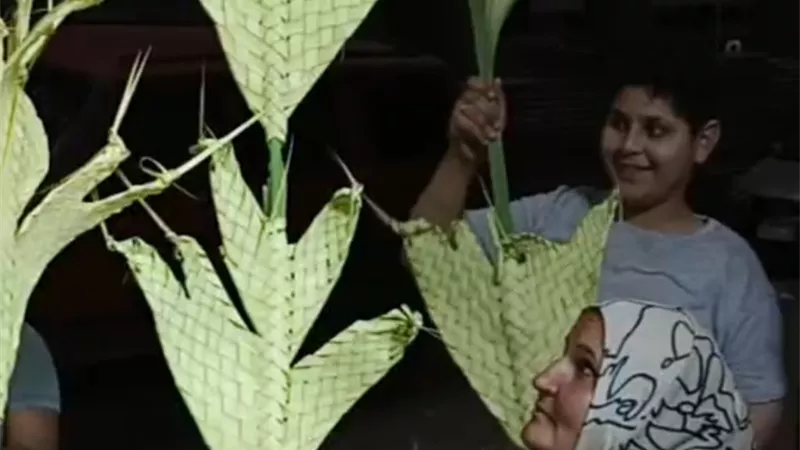 من قلب المنيا.. 