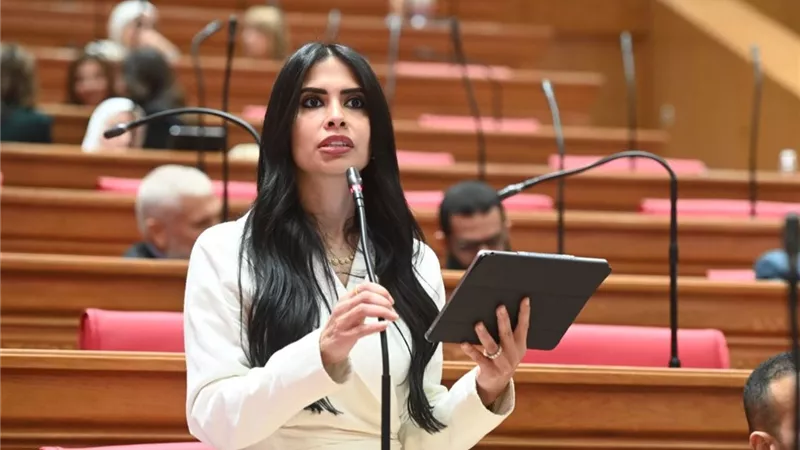 طلب إحاطة بشأن أزمات الأحوال الشخصية للمصريين بالخارج