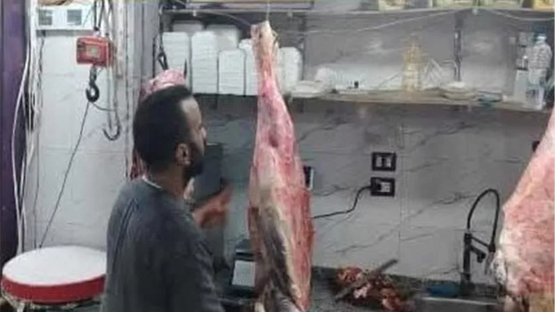 ضبط 169 مخالفة تموينية في حملات على الأسواق والمحال والمخابز بقنا