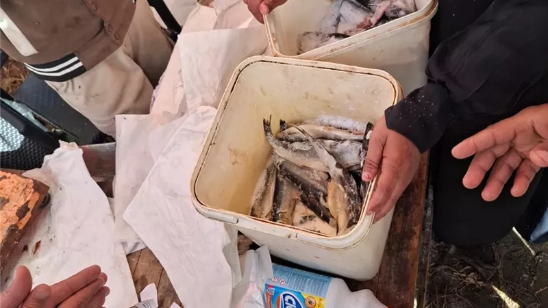 ضبط 47 بائعًا و500 كجم أغذية فاسدة بحملة مكبرة بالإسماعيلية 