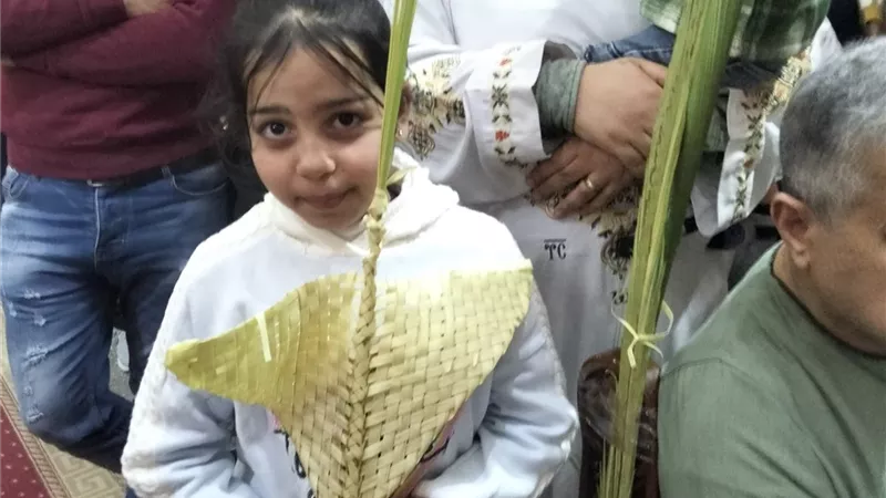 كنائس مراكز ومدن محافظة كفرالشيخ احتفلت بأحد السعف وأحد الشعانين| فيديو